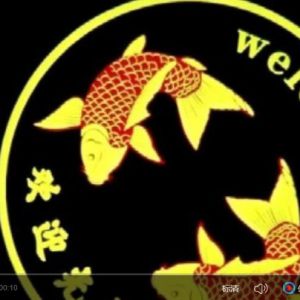转动投影灯