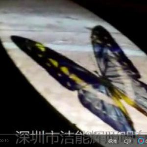 户外静态投影展示
