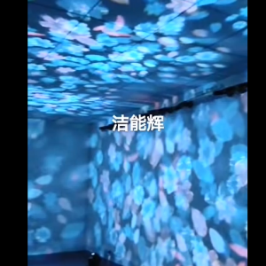 3D动态魅影重重落花投影