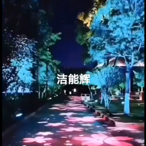 3D动感落花投影