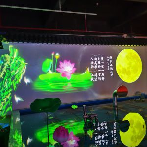 动态月食飘影成像展示