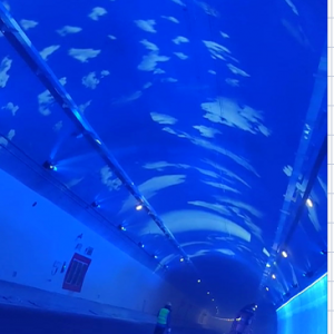 新疆哈密--动态3D隧道亮化投影